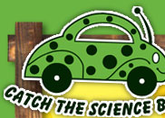 Catch the Science Bug